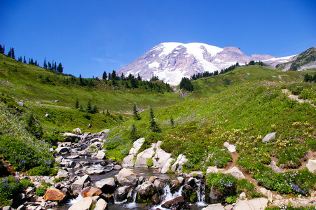 雷尼尔山