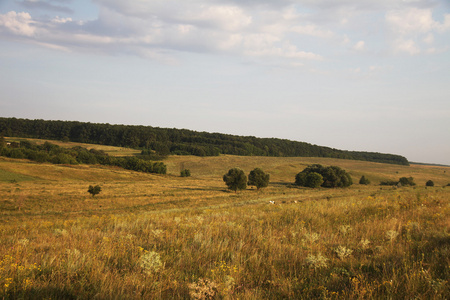 乌克兰景观