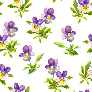 水彩绘与紫三色堇中提琴花无缝壁纸