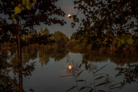 池塘秋晚图高清图片