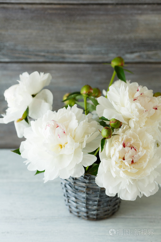 白牡丹在柳条花瓶