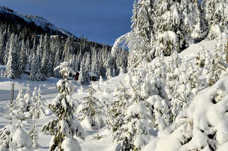 Kvitfjell 的滑雪胜地挪威