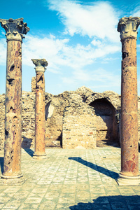 罗马废墟 Sanctuaire Esculape Thuburbo 菜突尼斯