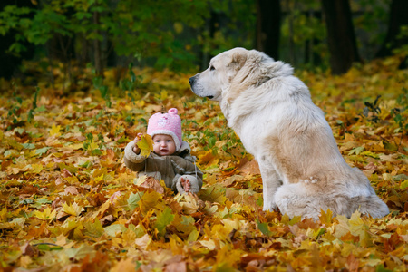 孩子和狗在秋叶