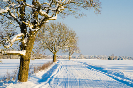 在农村，一个美丽的冬天冬天路