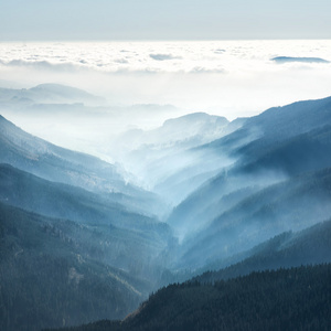 山景观