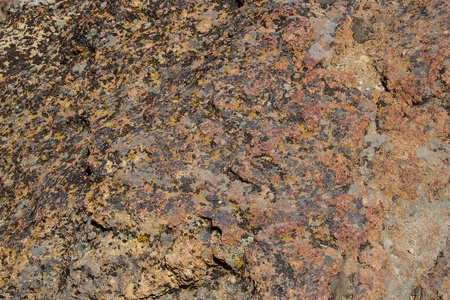 华灰地衣和风化的流纹岩照片