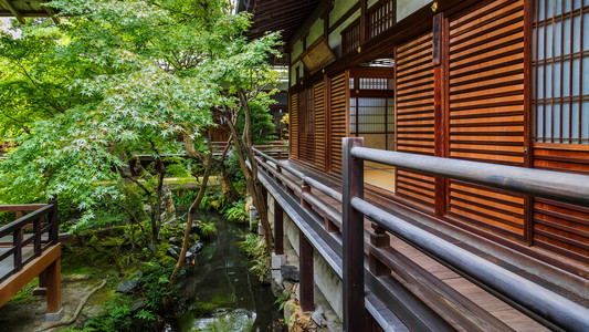 日本京都 Eikando 电子寺