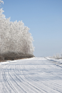 路和白霜冬季树上