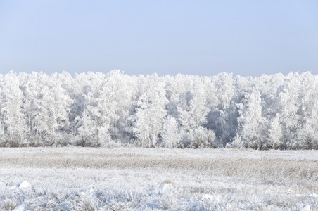 冬季风景与雪