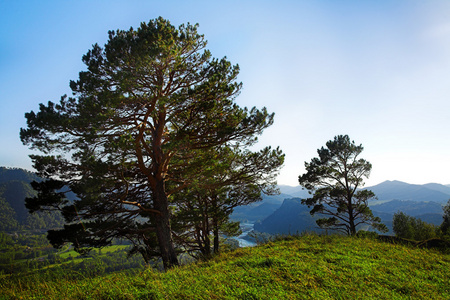 夏天山风景