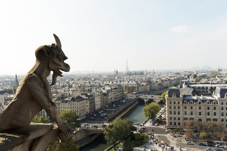 巴黎，法国，石像在圣母院大教堂