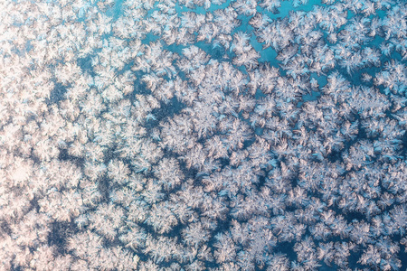 雪花飘落在冻结窗口