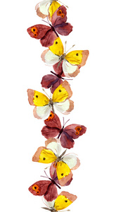 无缝重复的边缘线与明亮五颜六色的蝴蝶水彩画