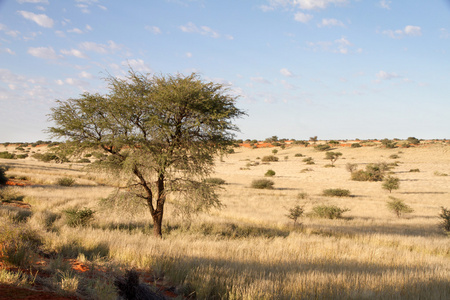 纳米比亚景观