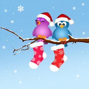 鸟与圣诞袜子