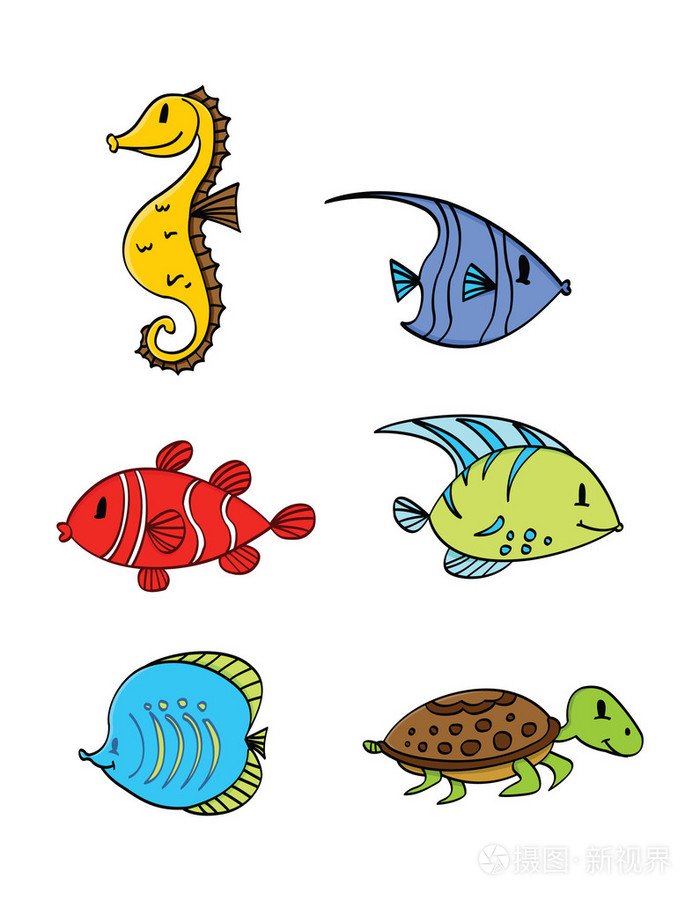 水动物集合下的海