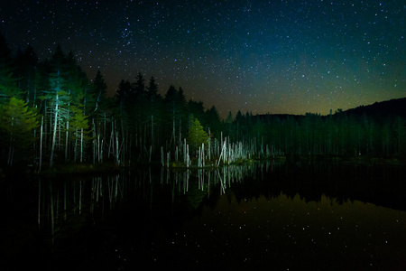 反映在欺骗的池塘里在晚上，在夜空中星星