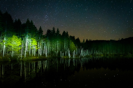 反映在欺骗的池塘里在晚上，在夜空中星星