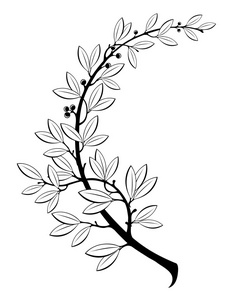 和平精英矢量图中包含的图像的月桂树枝照片