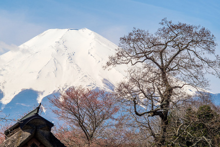 富士山