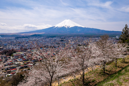 富士山图片