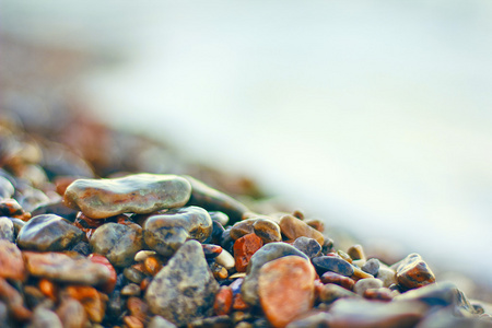 潮湿的石头上海滩图片