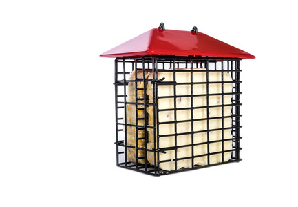 砖的羊脂白上孤立一个喂鸟器在图片