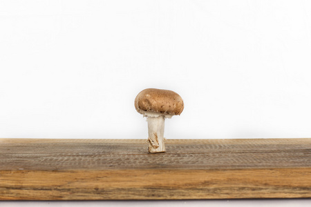 棕色的关键字图片