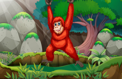 在森林中的红毛猩猩