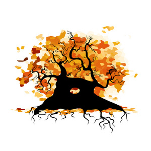 秋天的老树，为您设计的根
