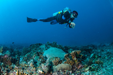潜水员游泳以上珊瑚礁在吉利，龙目岛 努沙登加拉巴拉，印度尼西亚水下照片