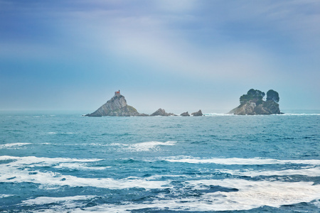 美丽的海景，在海边的岩石