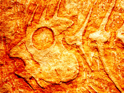 远古的海洋鱼化石图片