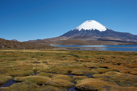 parinacota 火山