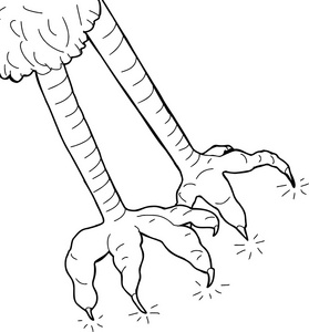 鹰爪图片-鹰爪素材-鹰爪插画-摄图新视界