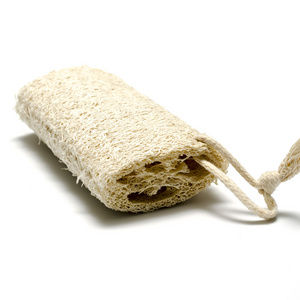 丝瓜干丝瓜络上白色隔离照片