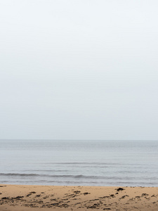 波罗的海和有雾的早晨