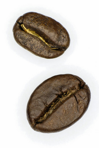两种咖啡豆
