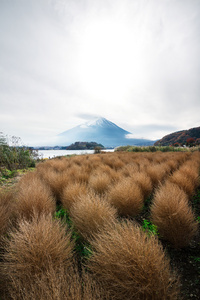 山富士