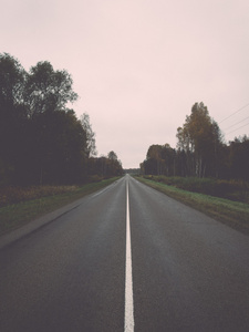 太阳反射的湿的沥青道路。年份