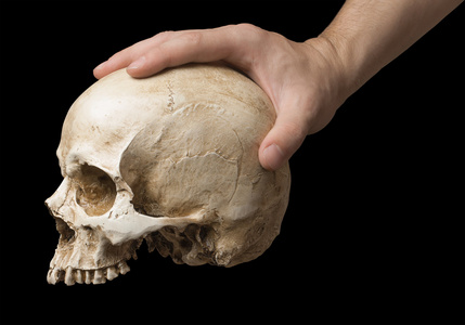 拿骨头手中拿着一个骷髅头照片