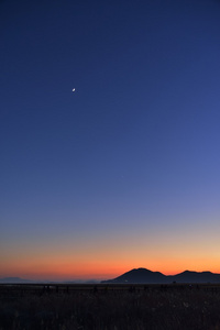 夕阳的芦苇场韩国顺天湾