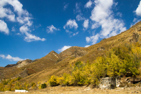 在山的秋景