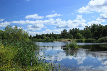 夏日风景在公园里的池塘