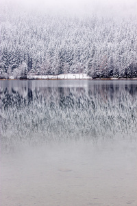 冬天湖