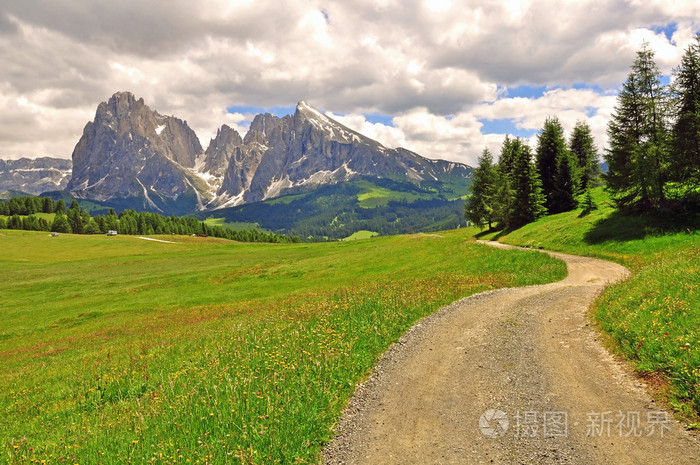 曲折的道路，在阿尔卑斯山