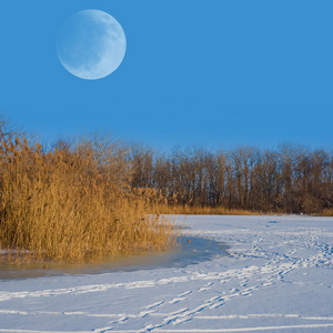 雪地月亮图片