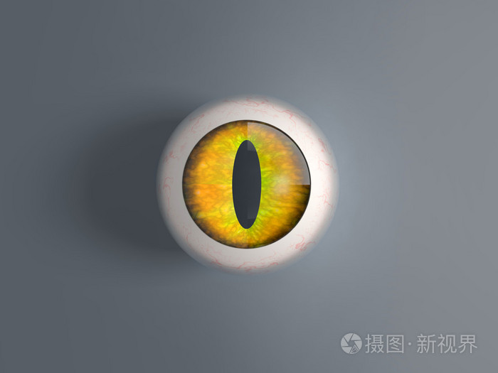 3d渲染猫眼球