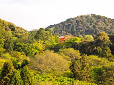 在日本京都的清水木台寺